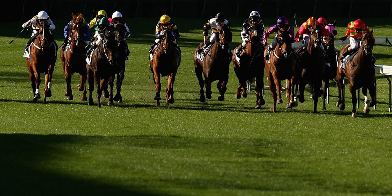 Manikato Stakes