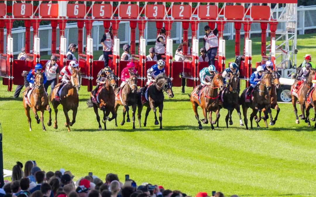 The Cox Plate 2025 Preview