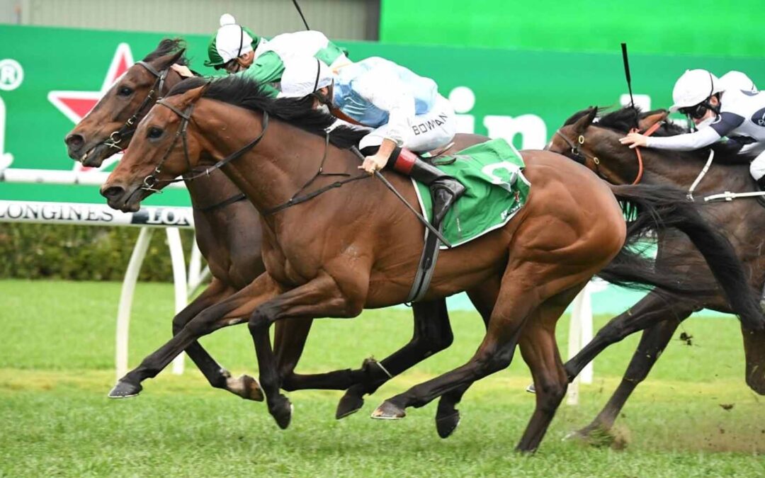 The Metropolitan 2025 Preview