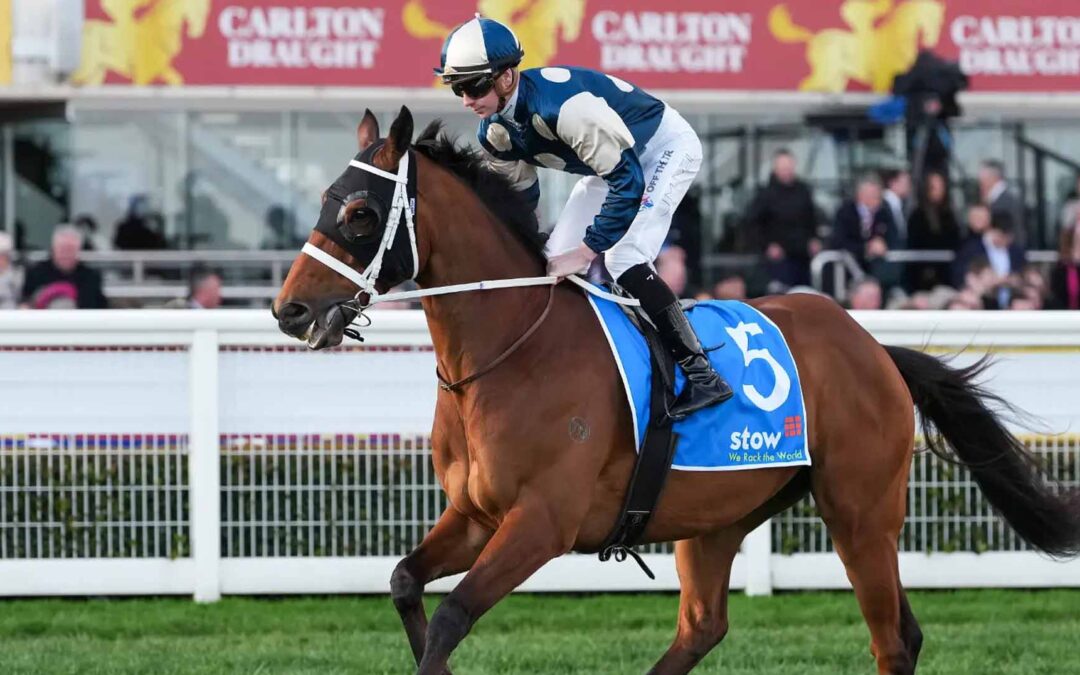 Underwood Stakes 2025 Preview