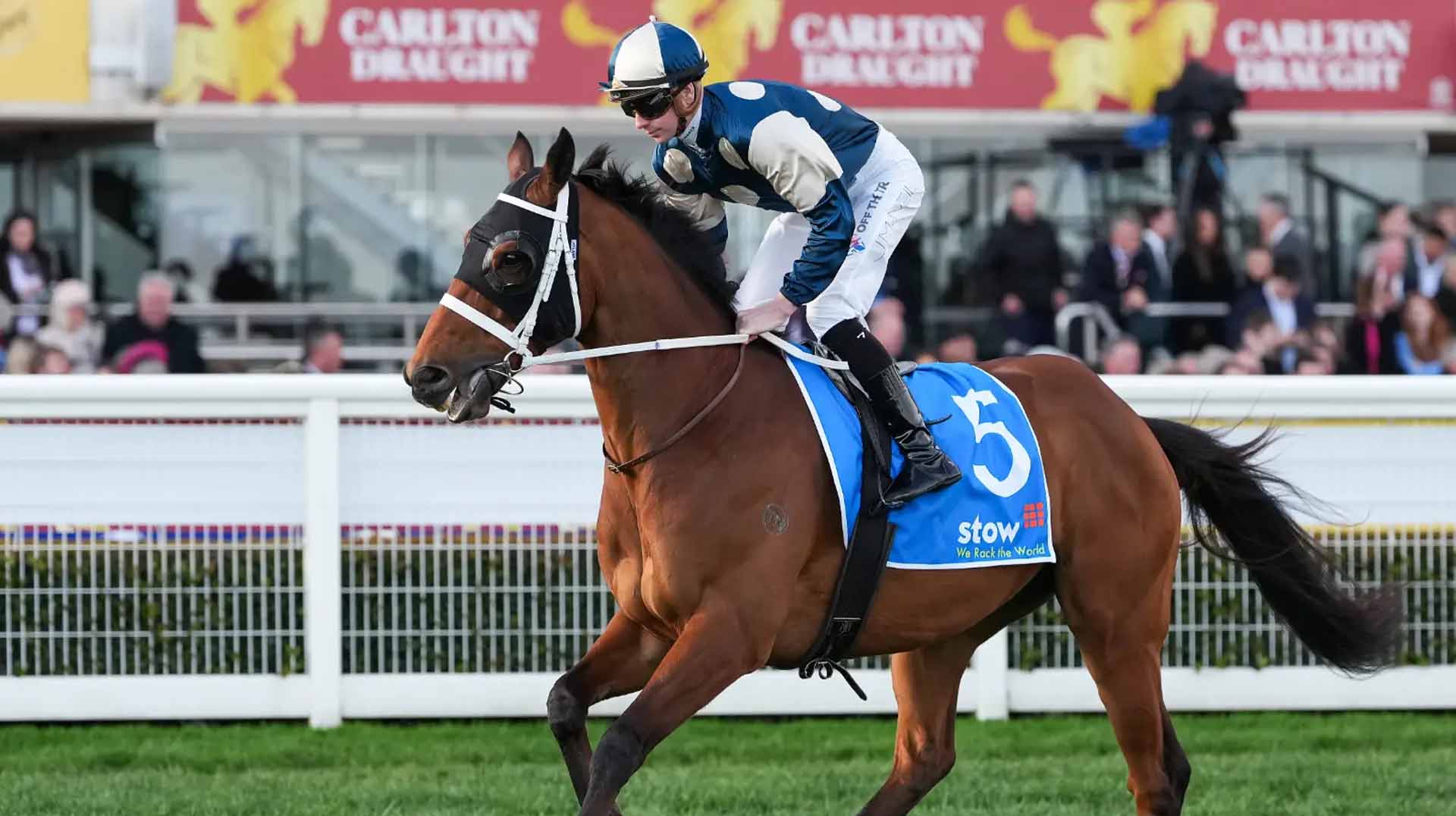 The Underwood Stakes 2025