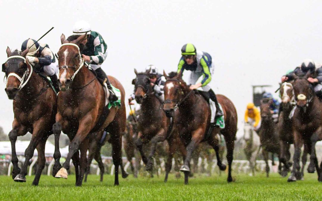 Turnbull Stakes 2025 Preview