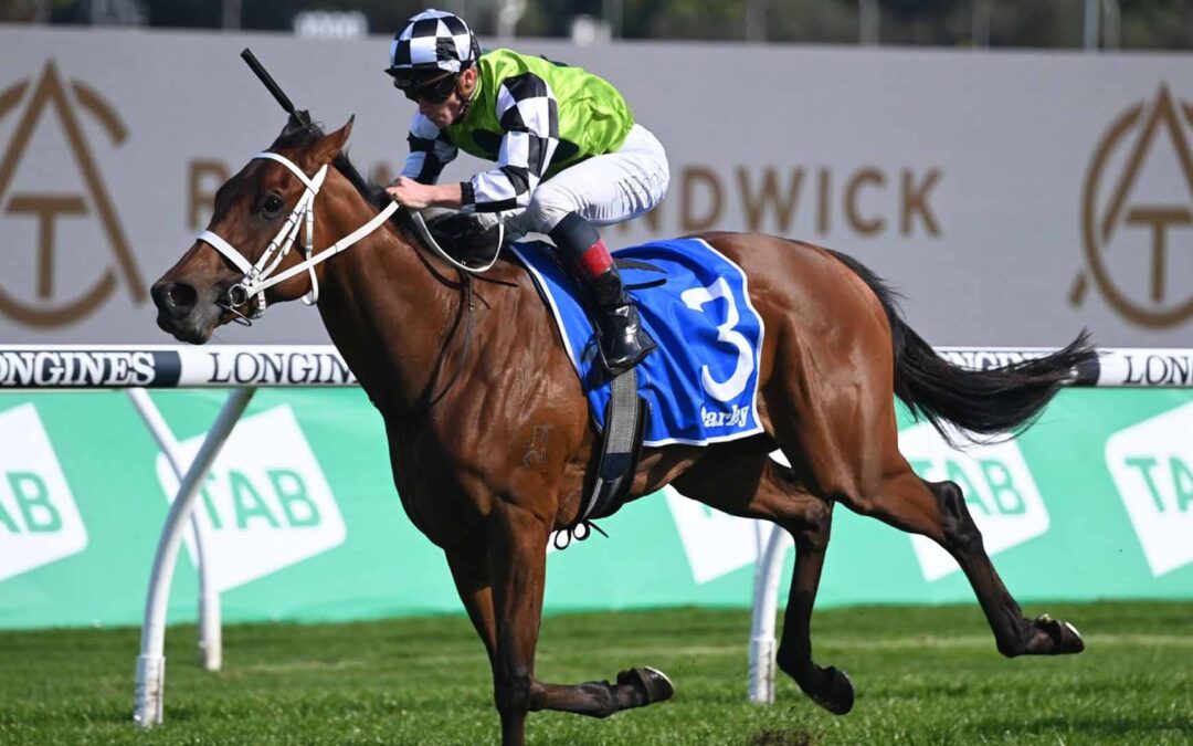 The Flight Stakes 2025 Preview