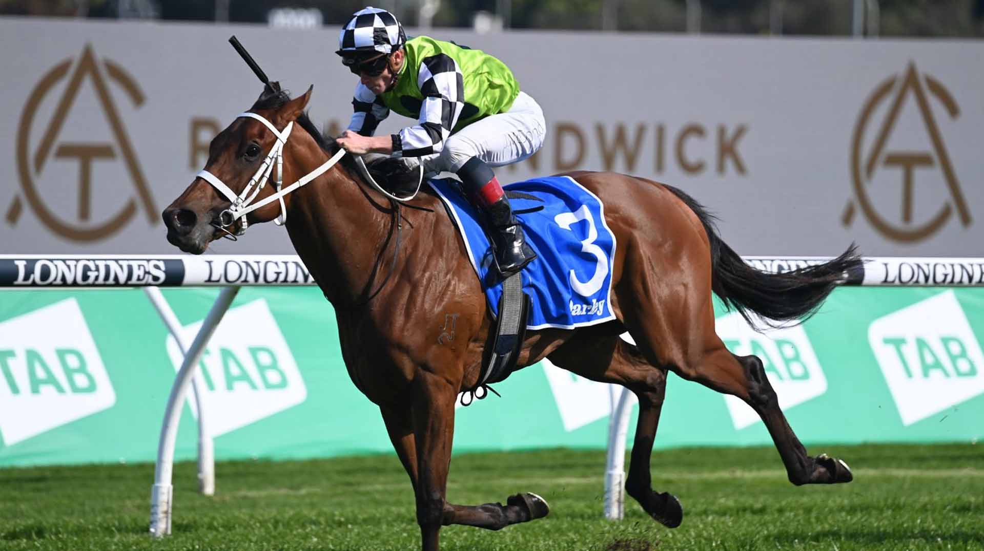 flight stakes 2025