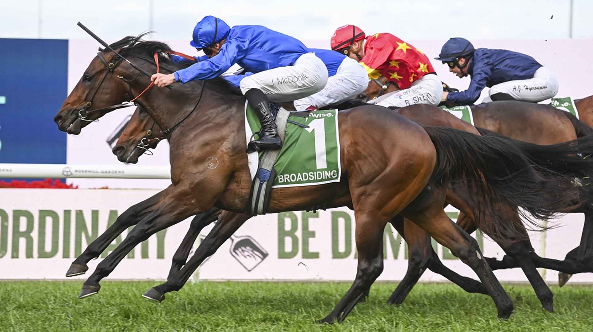 golden rose stakes 2025