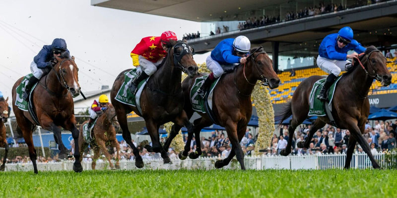 jj atkins stakes