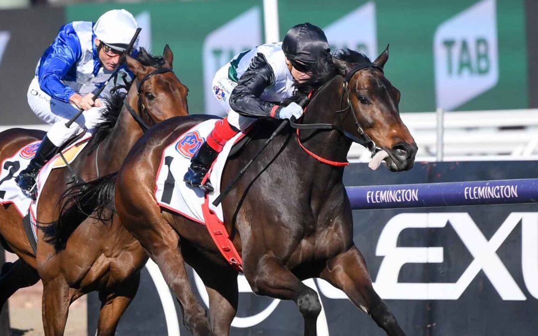 Makybe Diva Stakes 2025 Preview