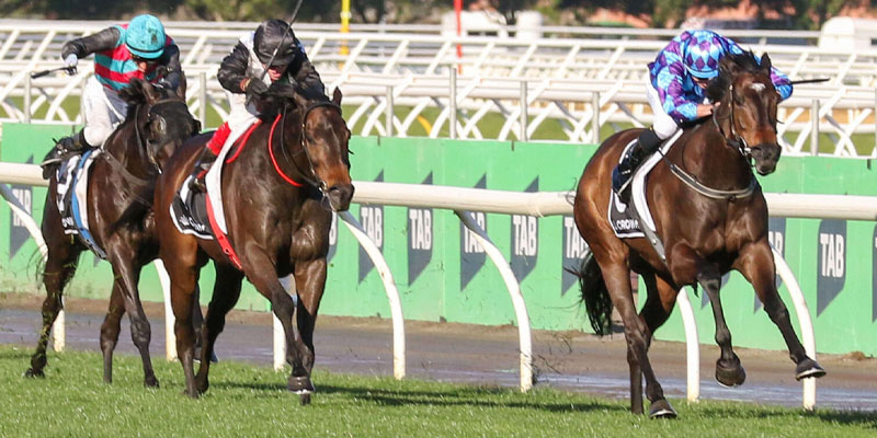 makybe diva stakes