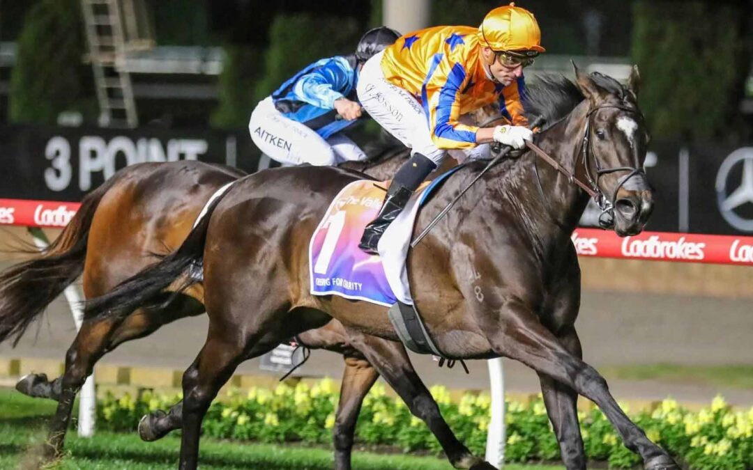 Moir Stakes 2025 Preview