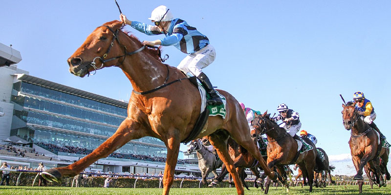turnbull stakes
