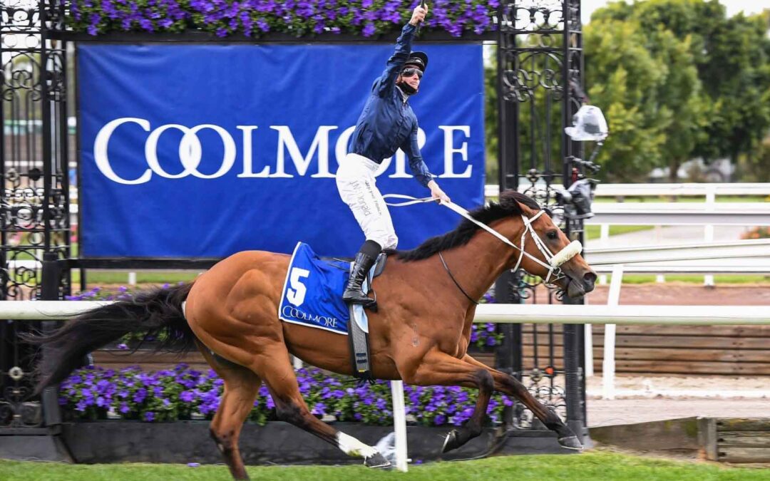 Coolmore Stud Stakes 2025 Preview