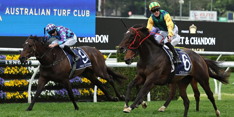 King Charles III Stakes