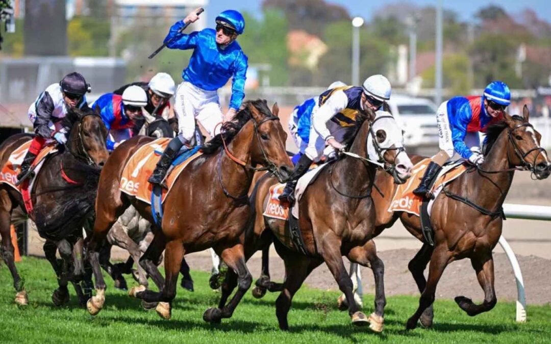 Might And Power Stakes 2025 Preview