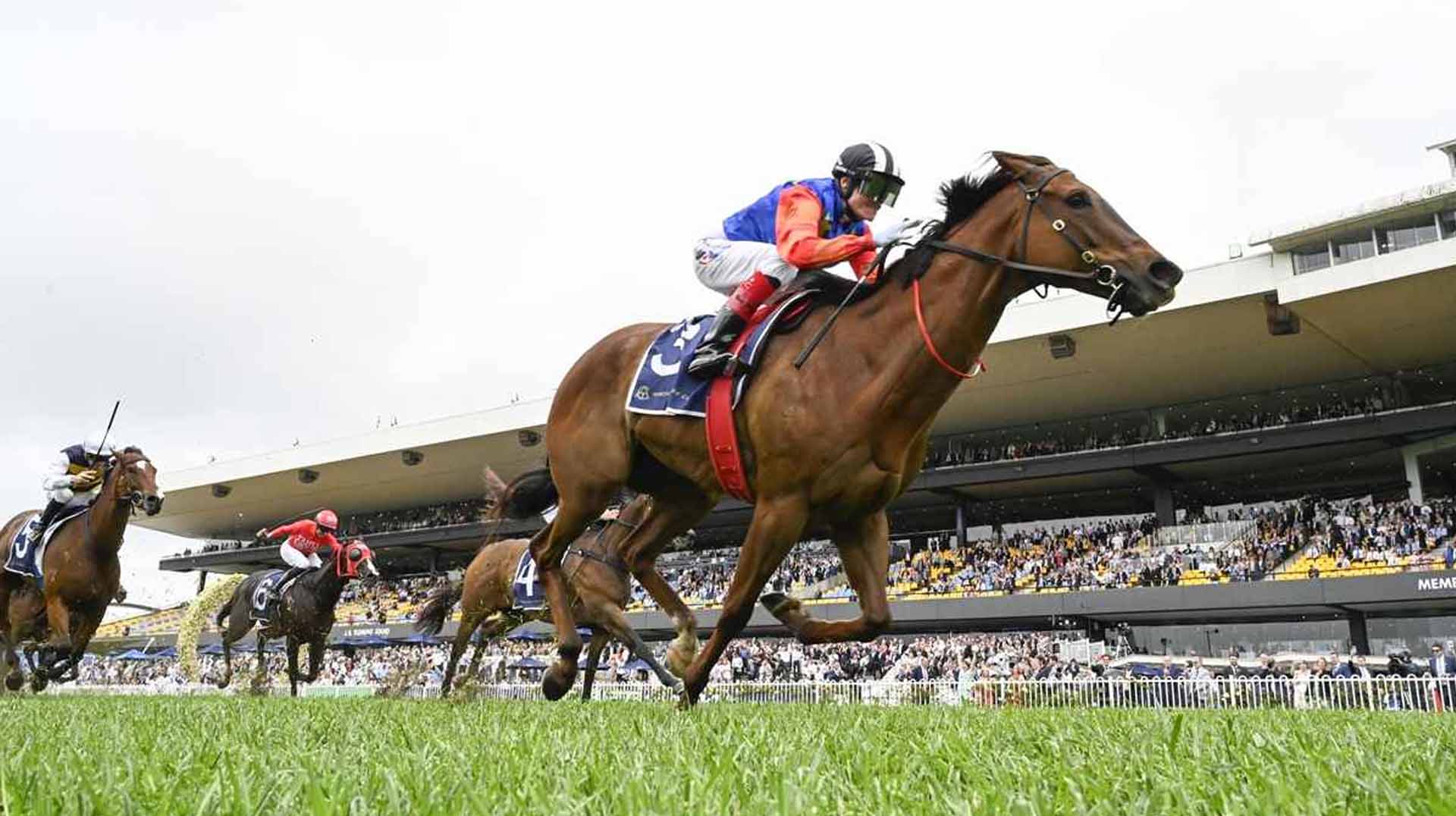 Russell Balding Stakes