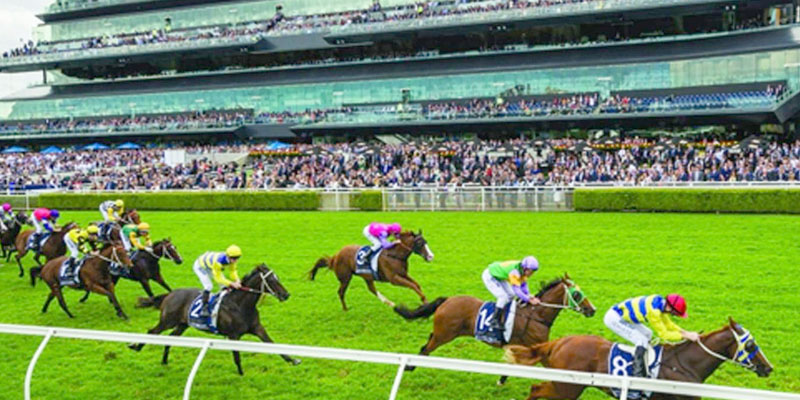 Spring Champion Stakes