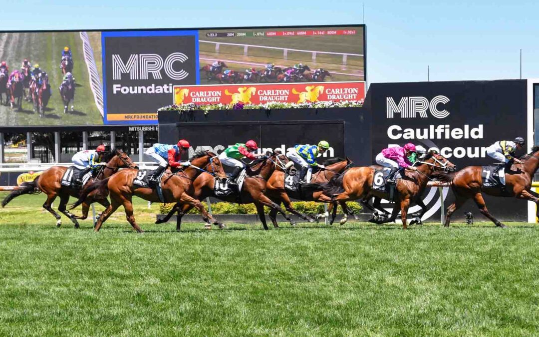 Toorak Handicap 2025 Preview