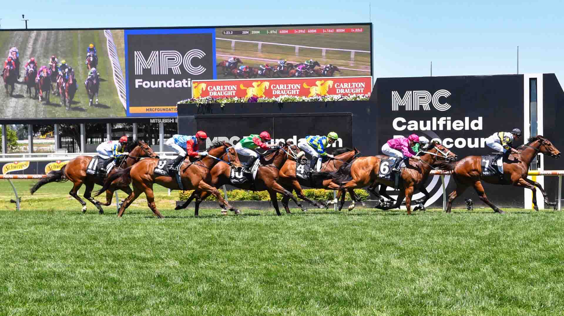 Toorak Handicap 2025