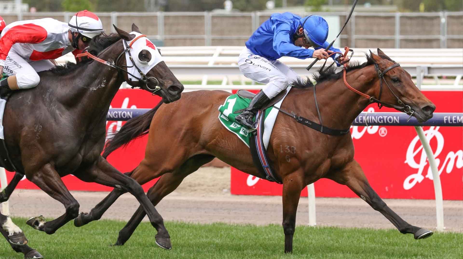 empire rose stakes 2025