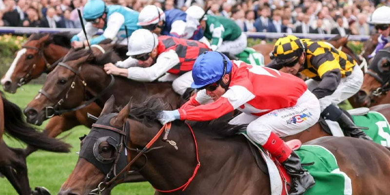 empire rose stakes