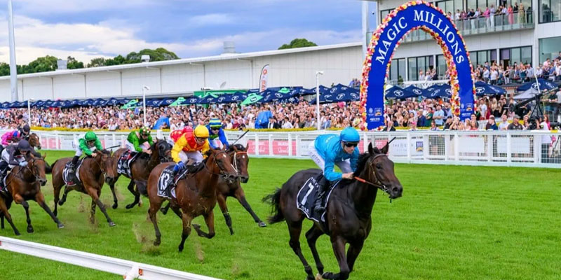 magic millions