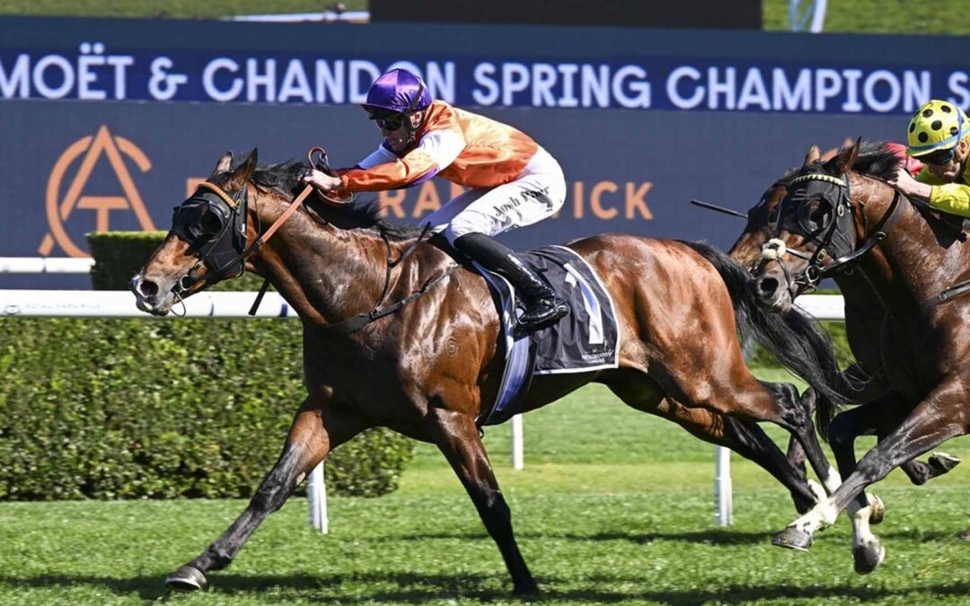 Spring Champion Stakes 2025 Preview