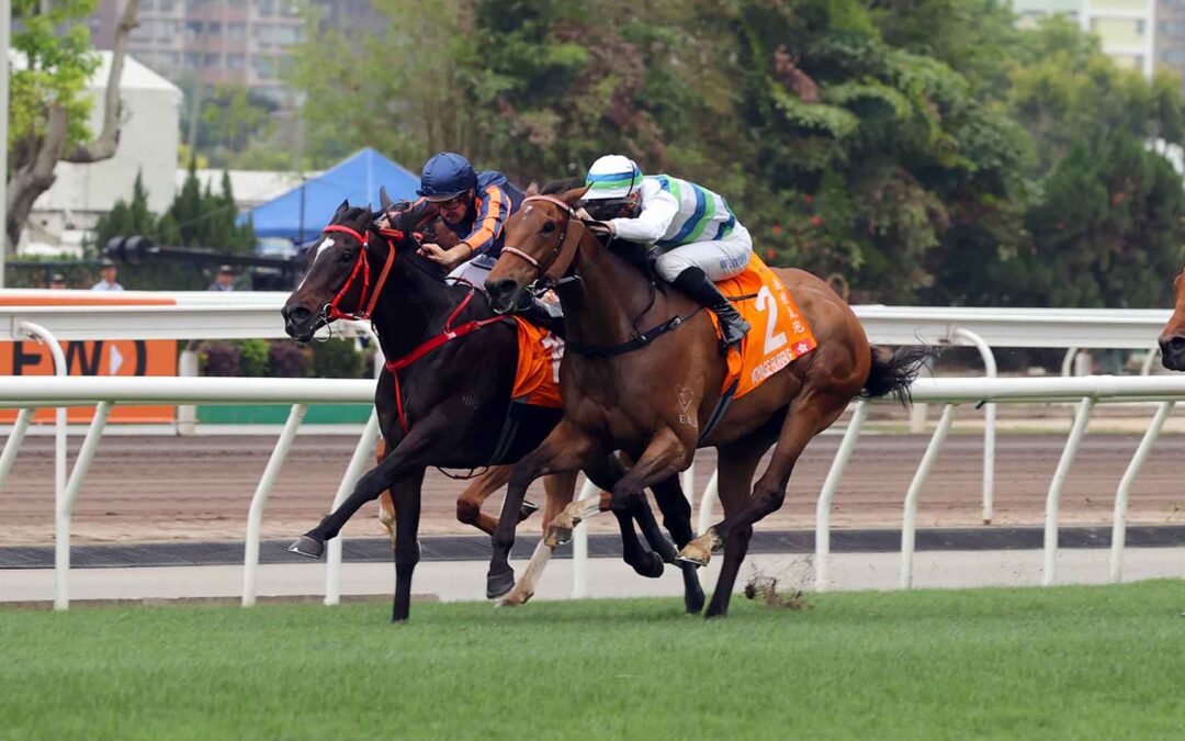 The Champions Mile 2025 Preview