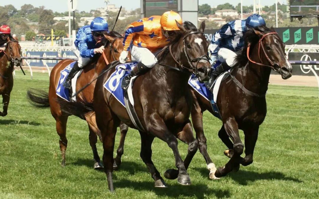 The Champions Sprint 2025 Preview