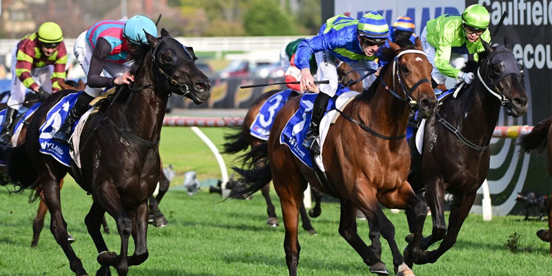 The Northerly Stakes