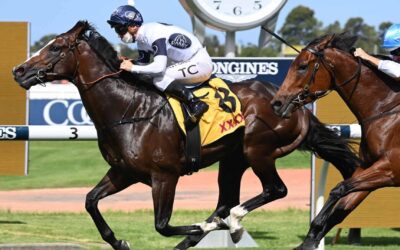 Winterbottom Stakes 2025 Preview