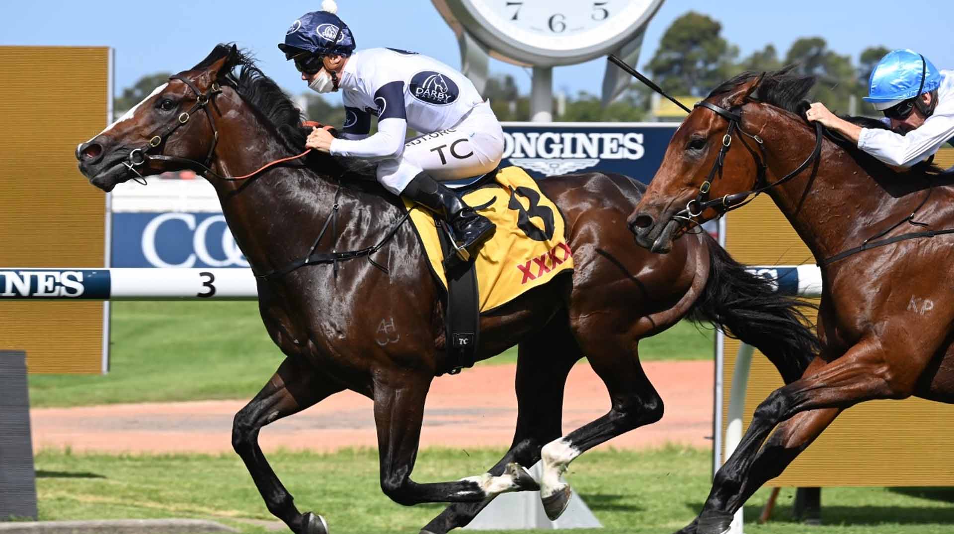 Winterbottom Stakes 2025