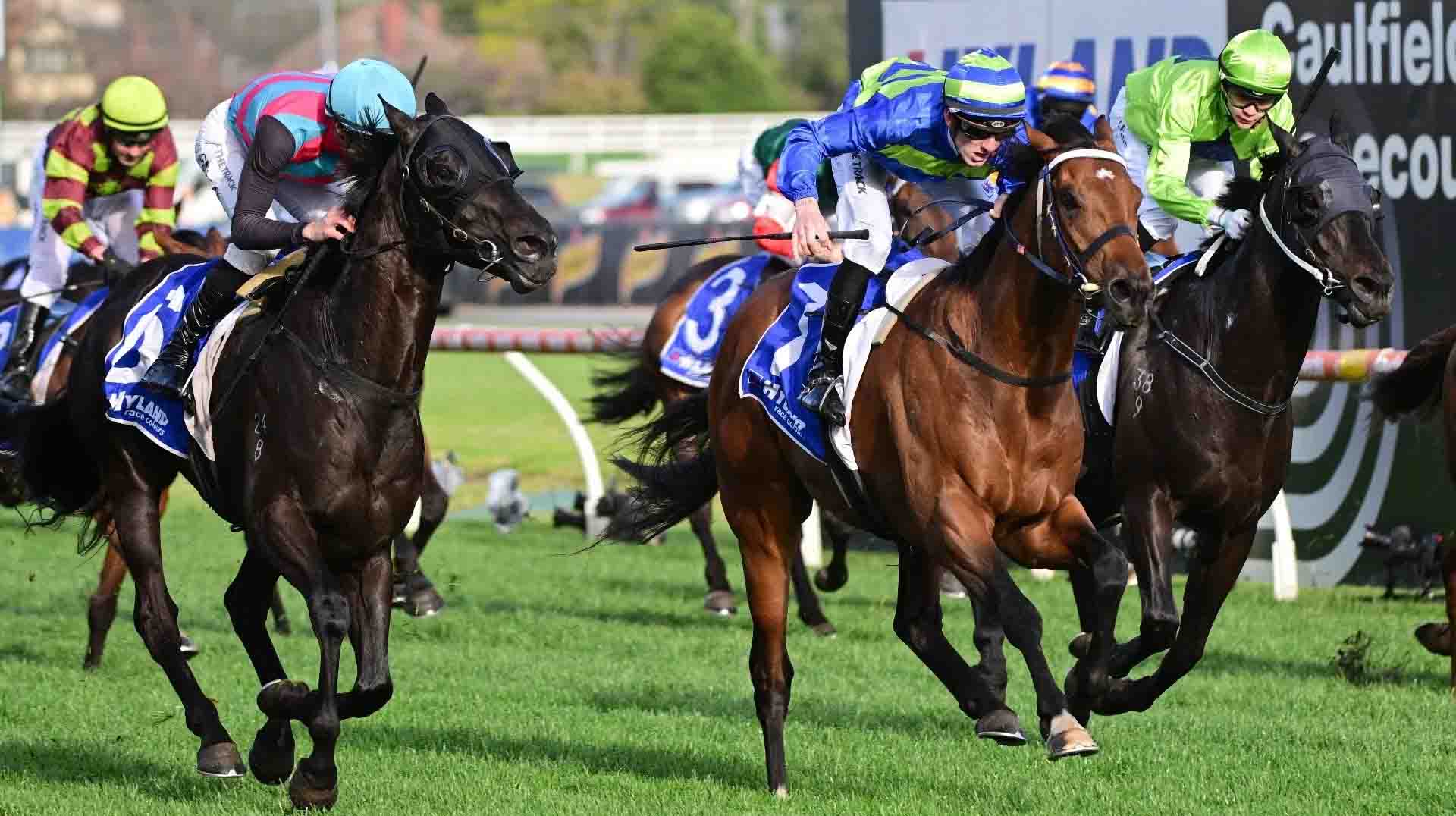 The Northerly Stakes 2025