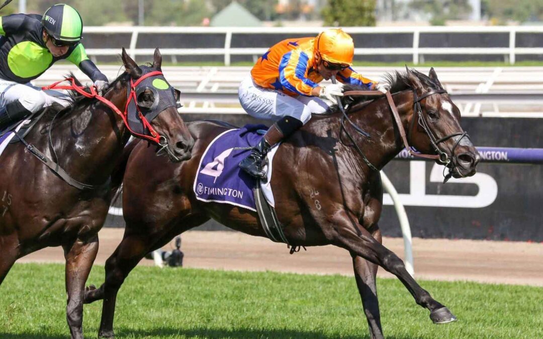 Black Caviar Lightning Stakes 2026 Preview