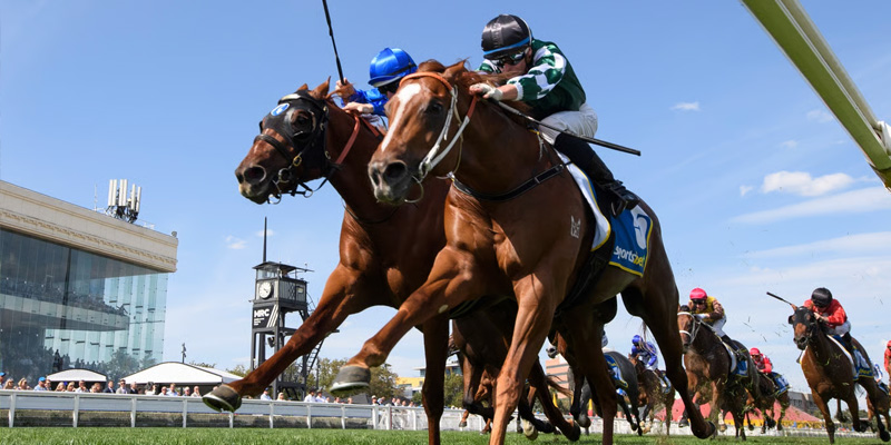 Blue Diamond Stakes 2026 Preview