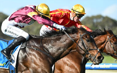 Futurity Stakes 2026 Preview