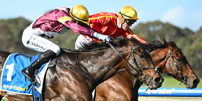 Futurity Stakes 2026 Preview