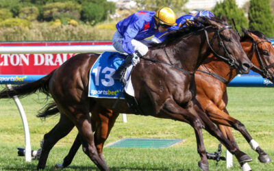 Oakleigh Plate 2026 Preview