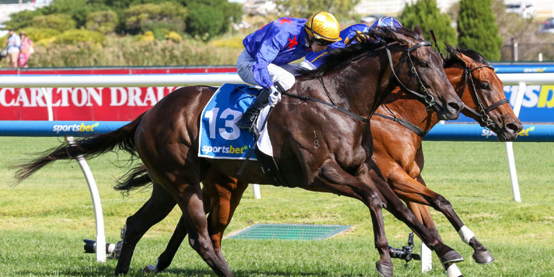 Oakleigh Plate 2026 Preview