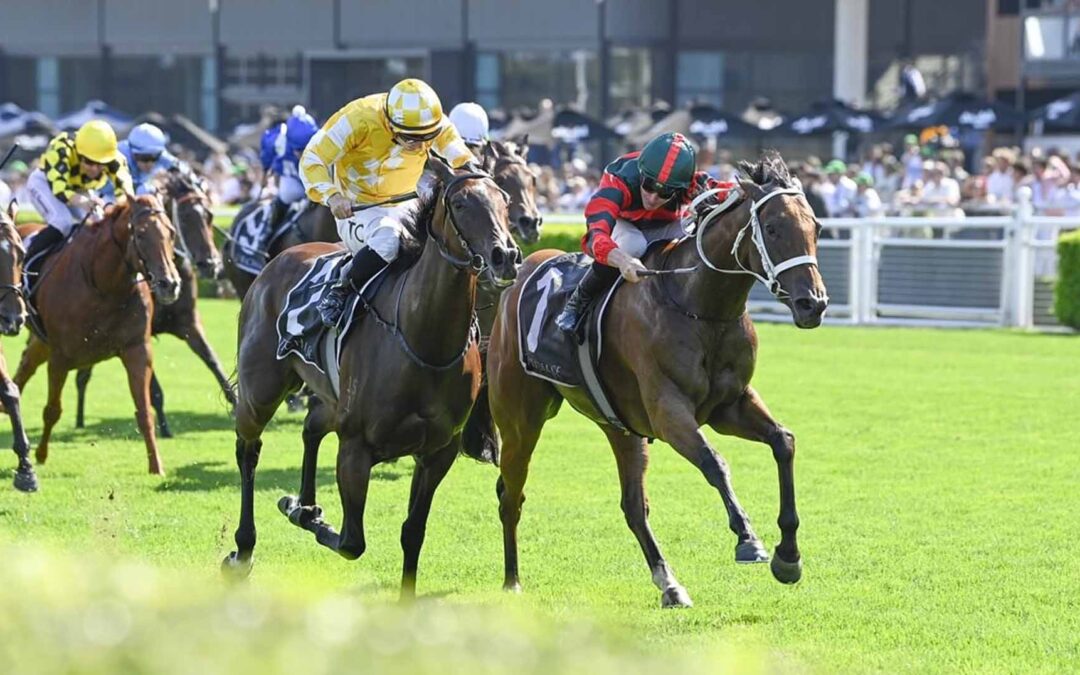 Surround Stakes 2026 Preview