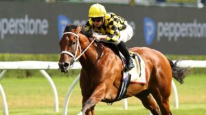 Verry Elleegant Stakes