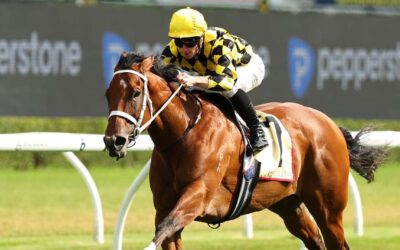 Verry Elleegant Stakes 2026 Preview